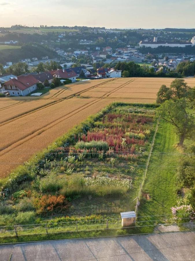 Wildkraut'S Kraeuterbauernhof - Ferienwohnung Kremsmünster Buitenkant foto